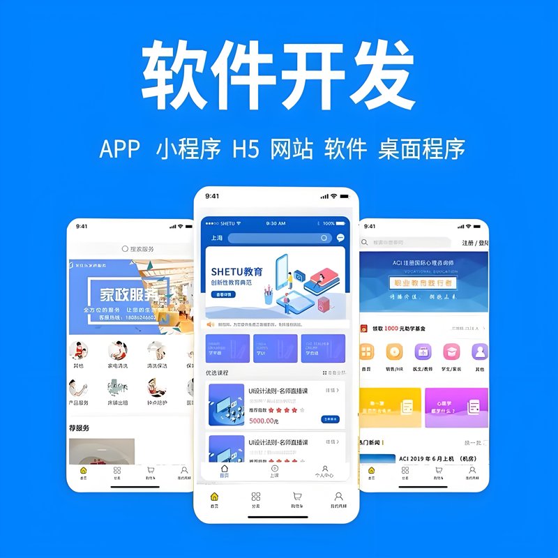 软件定制开发:企业成长的催化剂
