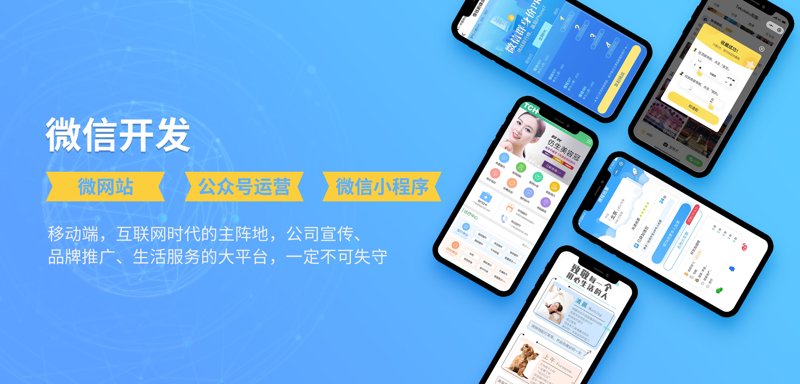 上海软件开发市场现状与趋势